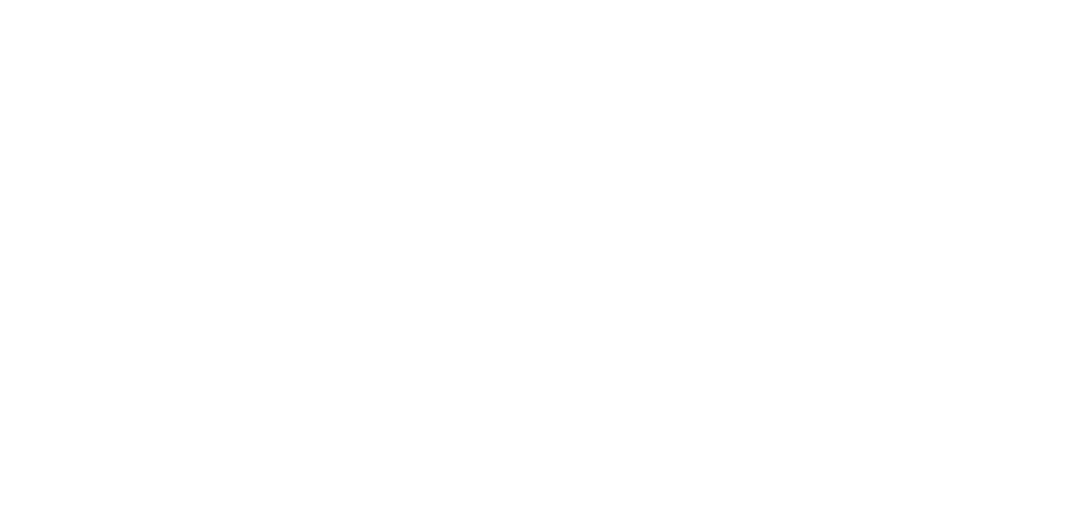 ZOE Soluções Digitais